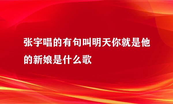 张宇唱的有句叫明天你就是他的新娘是什么歌
