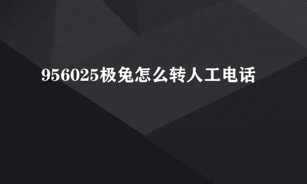 956025极兔怎么转人工电话