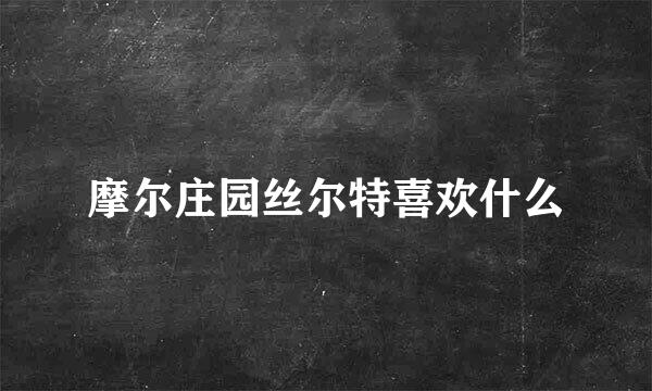 摩尔庄园丝尔特喜欢什么