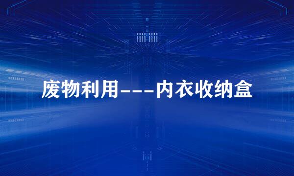 废物利用---内衣收纳盒