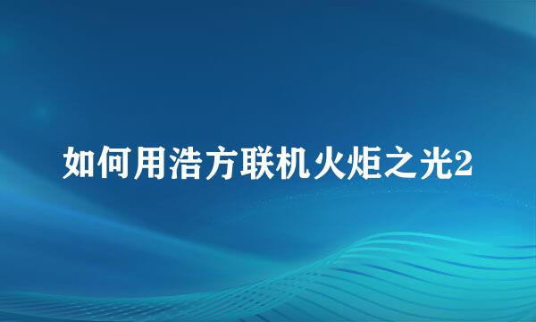 如何用浩方联机火炬之光2