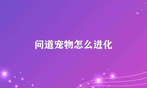 问道宠物怎么进化