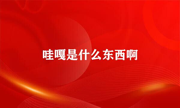 哇嘎是什么东西啊