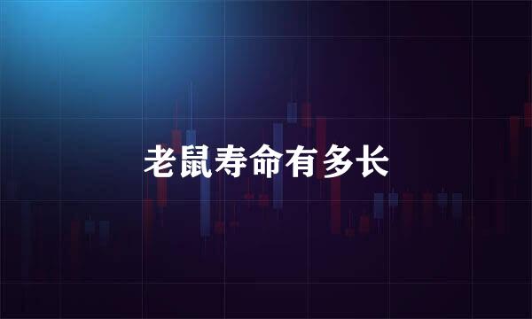 老鼠寿命有多长