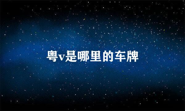 粤v是哪里的车牌