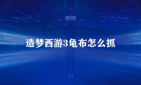 造梦西游3龟布怎么抓