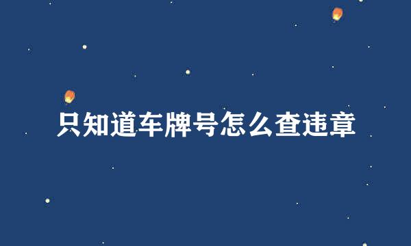 只知道车牌号怎么查违章