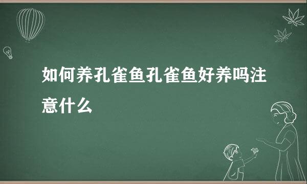 如何养孔雀鱼孔雀鱼好养吗注意什么