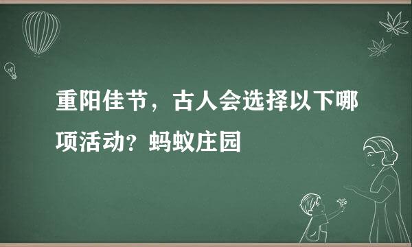 重阳佳节，古人会选择以下哪项活动？蚂蚁庄园