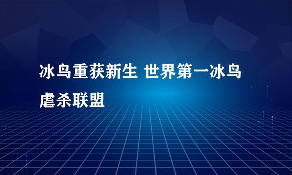 冰鸟重获新生 世界第一冰鸟虐杀联盟