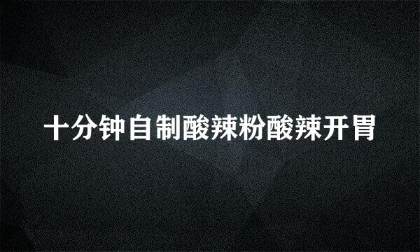 十分钟自制酸辣粉酸辣开胃