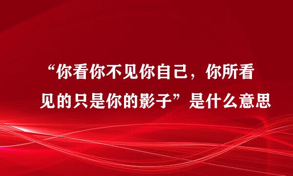 “你看你不见你自己，你所看见的只是你的影子”是什么意思