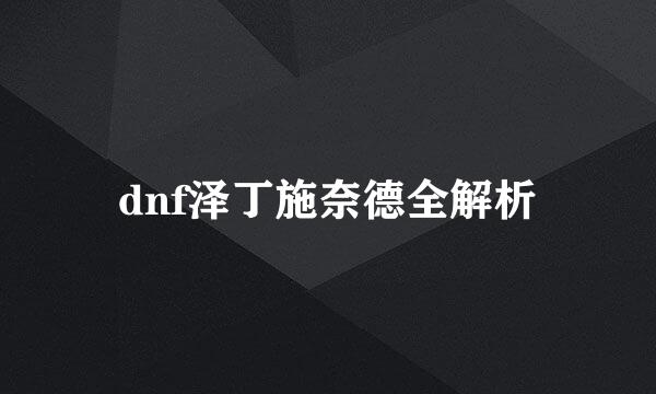 dnf泽丁施奈德全解析