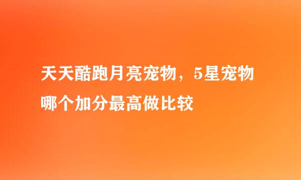 天天酷跑月亮宠物，5星宠物哪个加分最高做比较