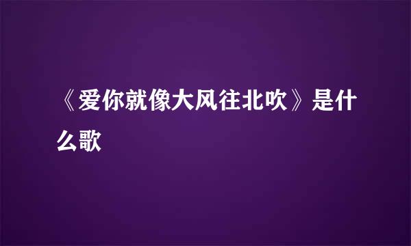 《爱你就像大风往北吹》是什么歌