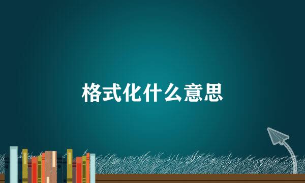 格式化什么意思
