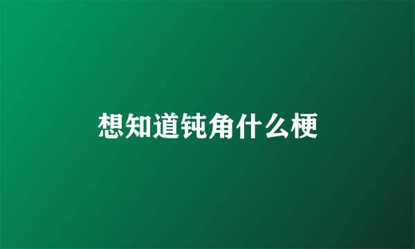 想知道钝角什么梗