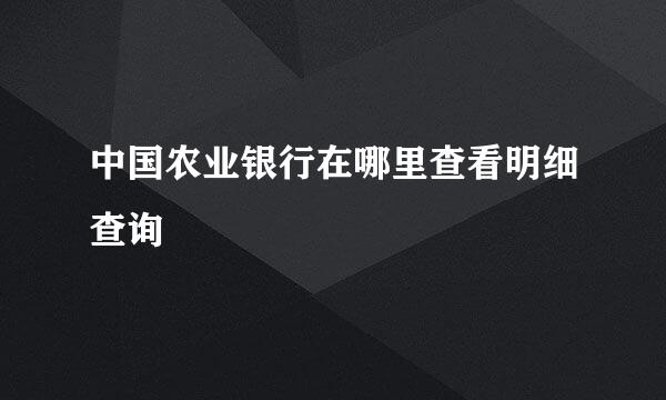中国农业银行在哪里查看明细查询