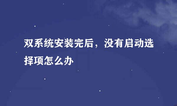 双系统安装完后，没有启动选择项怎么办