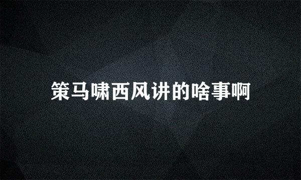 策马啸西风讲的啥事啊