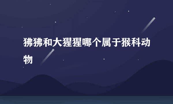 狒狒和大猩猩哪个属于猴科动物