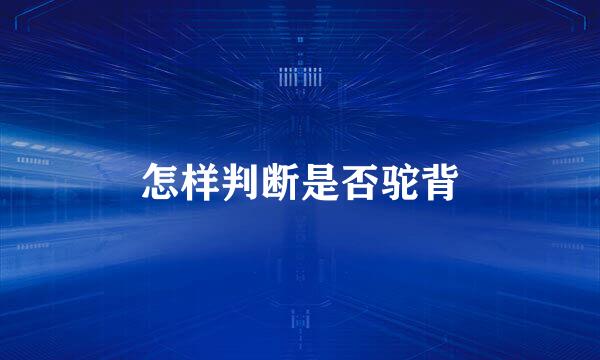 怎样判断是否驼背