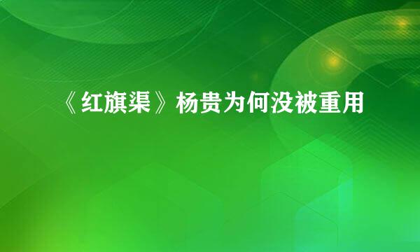 《红旗渠》杨贵为何没被重用