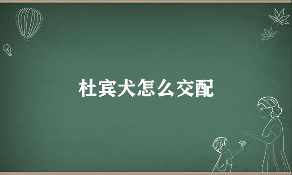 杜宾犬怎么交配