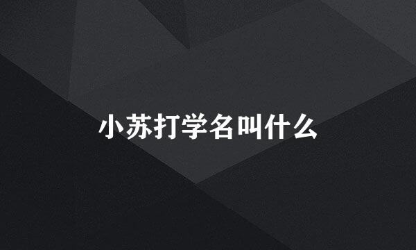 小苏打学名叫什么