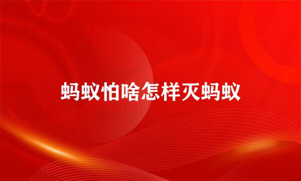蚂蚁怕啥怎样灭蚂蚁