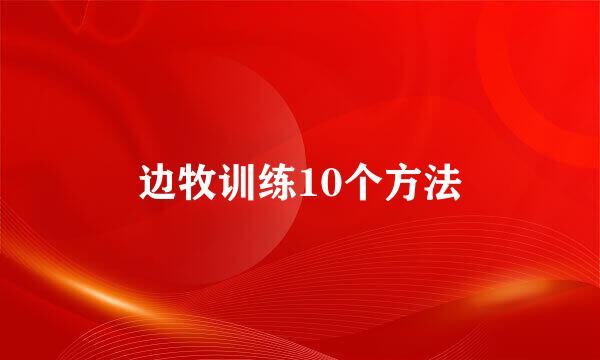 边牧训练10个方法