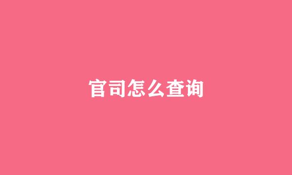 官司怎么查询