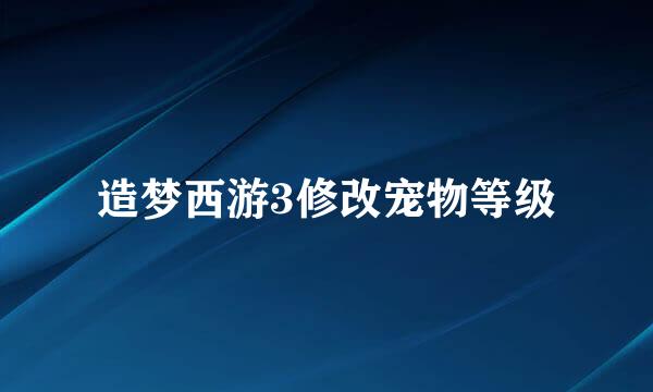 造梦西游3修改宠物等级