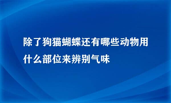 除了狗猫蝴蝶还有哪些动物用什么部位来辨别气味