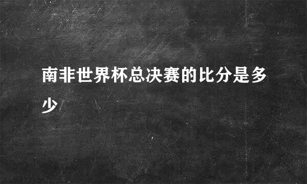 南非世界杯总决赛的比分是多少
