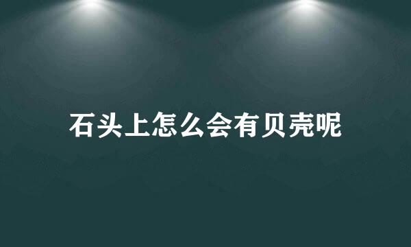 石头上怎么会有贝壳呢