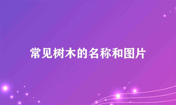 常见树木的名称和图片