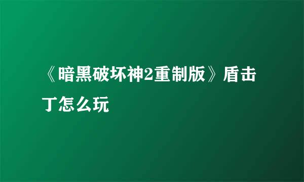 《暗黑破坏神2重制版》盾击丁怎么玩