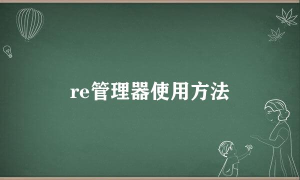 re管理器使用方法