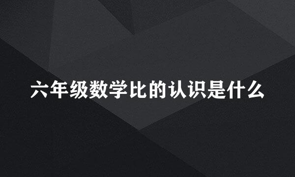 六年级数学比的认识是什么