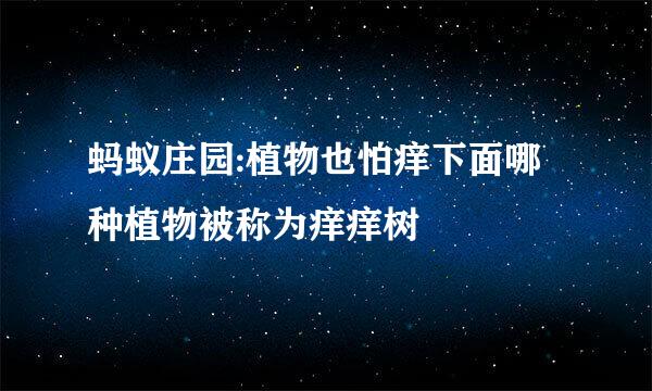 蚂蚁庄园:植物也怕痒下面哪种植物被称为痒痒树