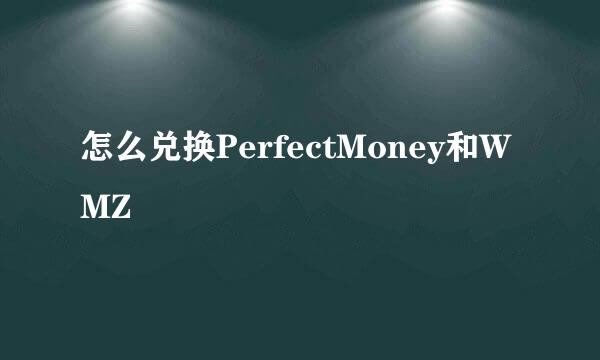 怎么兑换PerfectMoney和WMZ