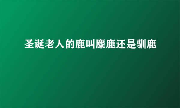圣诞老人的鹿叫麋鹿还是驯鹿