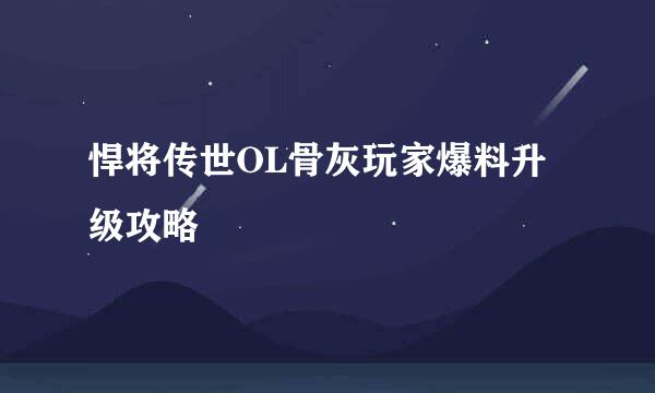 悍将传世OL骨灰玩家爆料升级攻略
