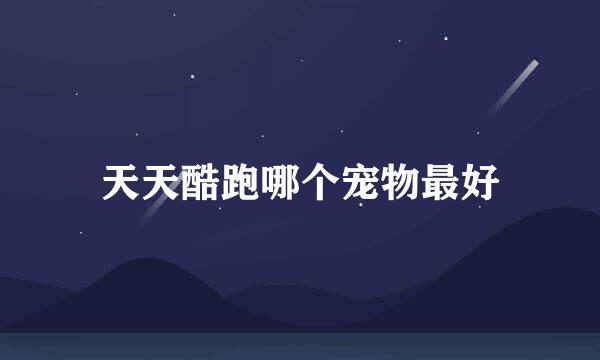 天天酷跑哪个宠物最好