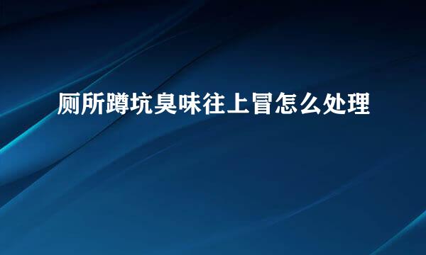 厕所蹲坑臭味往上冒怎么处理
