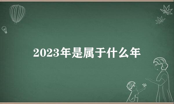 2023年是属于什么年