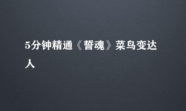 5分钟精通《誓魂》菜鸟变达人