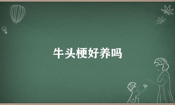 牛头梗好养吗