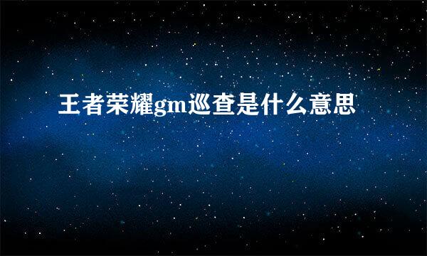 王者荣耀gm巡查是什么意思